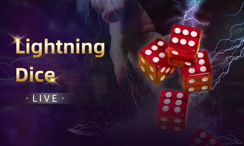 stake login Betting History interface showing filter controls, table of recent bets with dates and outcomes